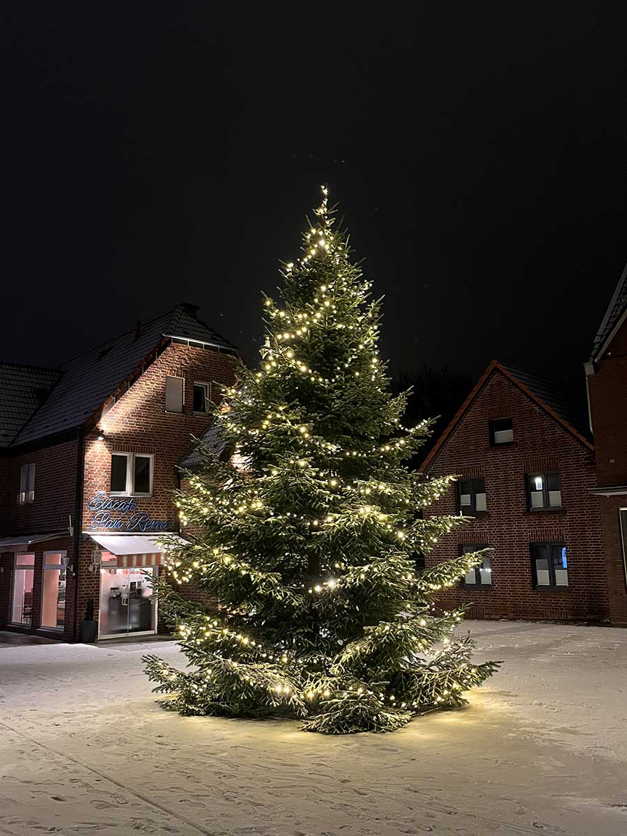 weihnachtsbaum-neuer-markt-2