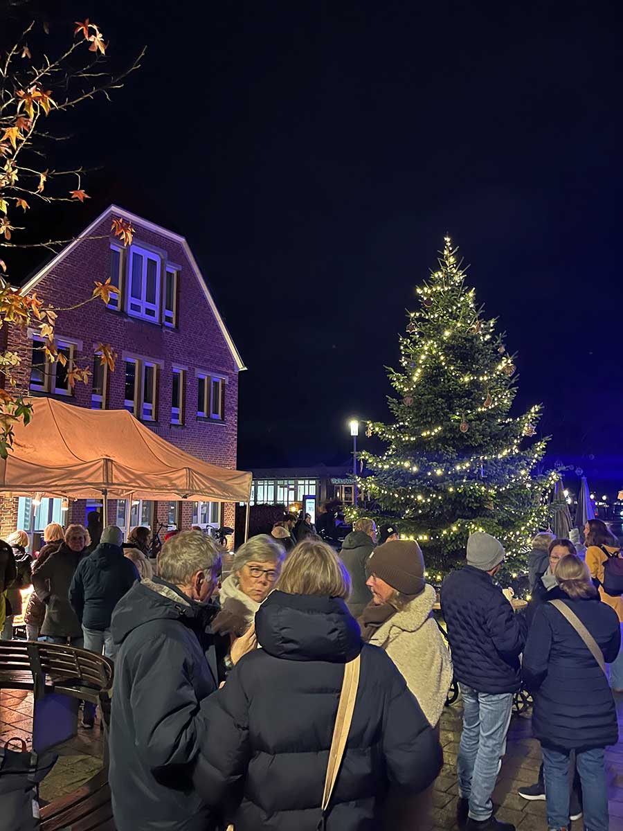 Weihnachtsbaum - Neuer Markt